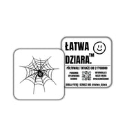 Pajęczyna Pająk