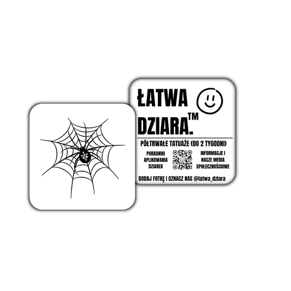 Pajęczyna Pająk