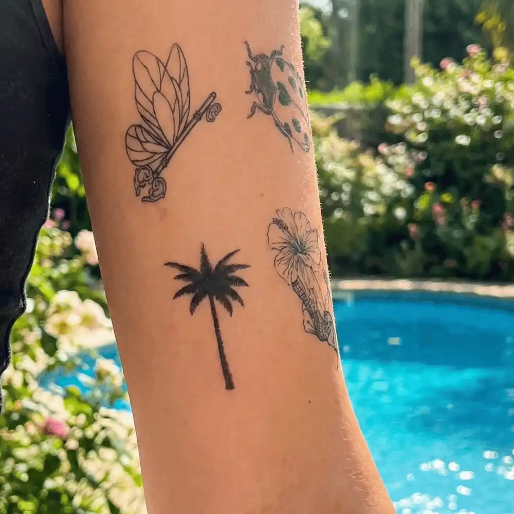 Palma - ŁatwaDziara™